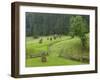 Haystacks, Bucovina, Romania-Russell Young-Framed Photographic Print