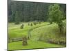 Haystacks, Bucovina, Romania-Russell Young-Mounted Photographic Print