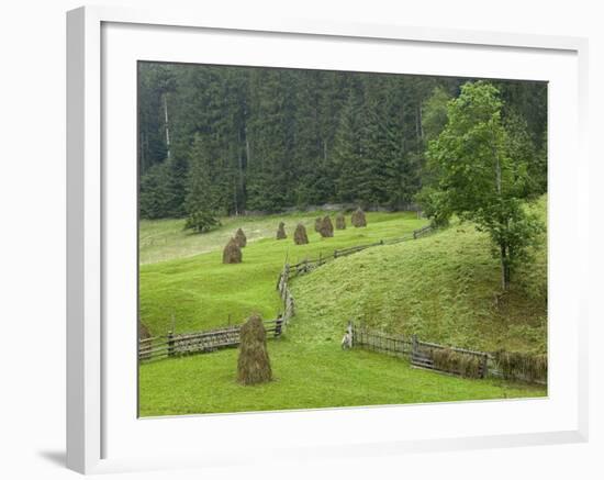 Haystacks, Bucovina, Romania-Russell Young-Framed Photographic Print