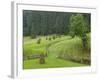 Haystacks, Bucovina, Romania-Russell Young-Framed Photographic Print