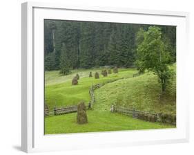 Haystacks, Bucovina, Romania-Russell Young-Framed Photographic Print