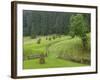 Haystacks, Bucovina, Romania-Russell Young-Framed Photographic Print