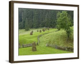 Haystacks, Bucovina, Romania-Russell Young-Framed Photographic Print