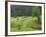 Haystacks, Bucovina, Romania-Russell Young-Framed Photographic Print