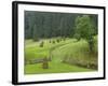 Haystacks, Bucovina, Romania-Russell Young-Framed Photographic Print