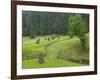 Haystacks, Bucovina, Romania-Russell Young-Framed Photographic Print