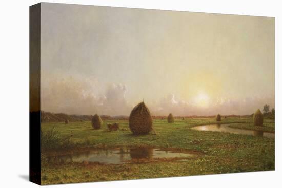 Haystacks, C.1876-88-Martin Johnson Heade-Stretched Canvas