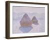 Haystacks (Effect of Snow and Sun), 1891-Claude Monet-Framed Premium Giclee Print