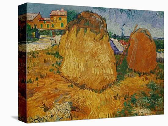 Haystacks in Provence, c.1888-Vincent van Gogh-Stretched Canvas