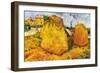 Haystacks In Provence-Vincent van Gogh-Framed Premium Giclee Print