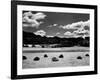 Haystacks, Landscape, Europe, 1968-Brett Weston-Framed Photographic Print