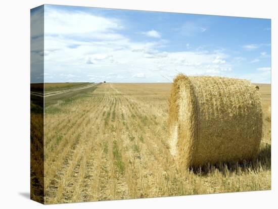 Haystacks, North Dakota, USA-Ethel Davies-Stretched Canvas