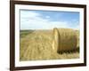 Haystacks, North Dakota, USA-Ethel Davies-Framed Photographic Print