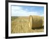 Haystacks, North Dakota, USA-Ethel Davies-Framed Photographic Print