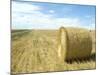 Haystacks, North Dakota, USA-Ethel Davies-Mounted Photographic Print