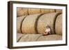 Haystacks-Tatyana Tomsickova-Framed Photographic Print