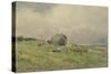 Haytime-Wilfrid Williams Ball-Stretched Canvas