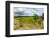 Haytor Rocks (Hay Tor), Dartmoor, Devon, England, United Kingdom, Europe-Matthew-Framed Photographic Print