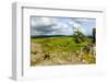 Haytor Rocks (Hay Tor), Dartmoor, Devon, England, United Kingdom, Europe-Matthew-Framed Photographic Print