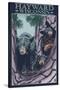 Hayward, Wisconsin - Bear and Cubs in Tree-Lantern Press-Stretched Canvas