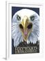 Hayward, Wisconsin - Eagle Up Close-Lantern Press-Framed Art Print