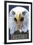 Hayward, Wisconsin - Eagle Up Close-Lantern Press-Framed Art Print