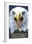 Hayward, Wisconsin - Eagle Up Close-Lantern Press-Framed Art Print