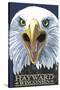 Hayward, Wisconsin - Eagle Up Close-Lantern Press-Stretched Canvas