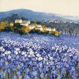 Champs D'Iris, Provence-Hazel Barker-Art Print