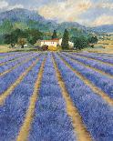 Lavender Field Near St Tropez-Hazel Barker-Giclee Print