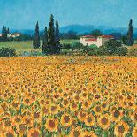 Lavender and Sunflowers, Provence-Hazel Barker-Art Print