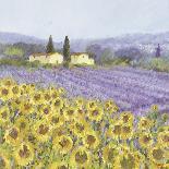 Lavender and Sunflowers, Provence-Hazel Barker-Art Print