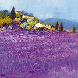 Lavender Field Near St Tropez-Hazel Barker-Giclee Print