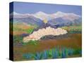 Stretched Canvas