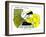 Hazel Cartoon-Ted Key-Framed Giclee Print