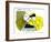 Hazel Cartoon-Ted Key-Framed Giclee Print