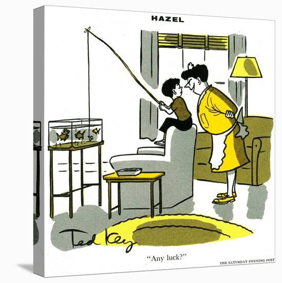 Hazel Cartoon-Ted Key-Stretched Canvas