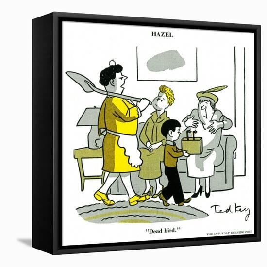 Hazel Cartoon-Ted Key-Framed Stretched Canvas