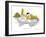 Hazel Cartoon-Ted Key-Framed Giclee Print