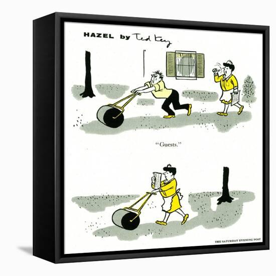 Hazel Cartoon-Ted Key-Framed Stretched Canvas