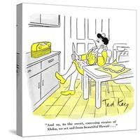 Hazel Cartoon-Ted Key-Stretched Canvas