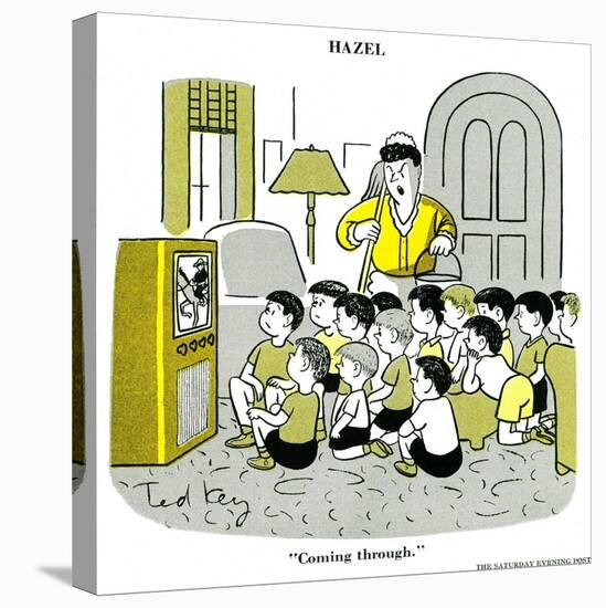 Hazel Cartoon-Ted Key-Stretched Canvas