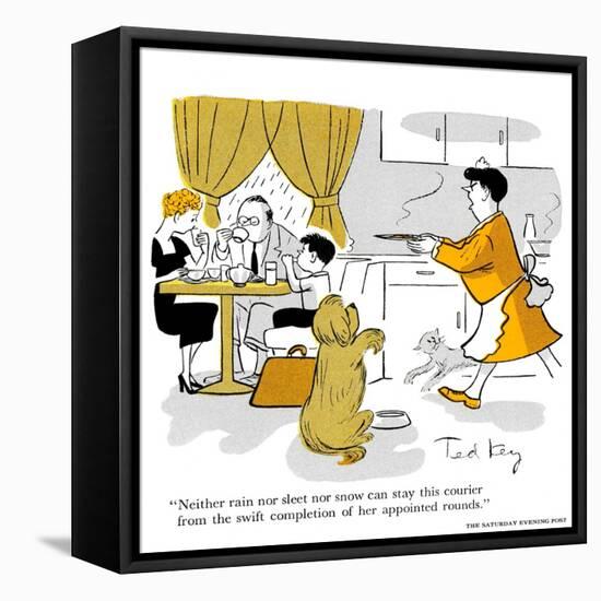 Hazel Cartoon-Ted Key-Framed Stretched Canvas