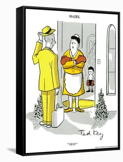 Hazel Cartoon-Ted Key-Framed Stretched Canvas