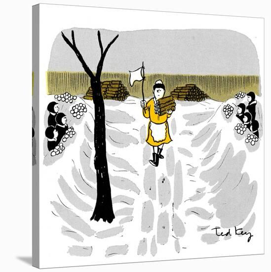 Hazel Cartoon-Ted Key-Stretched Canvas