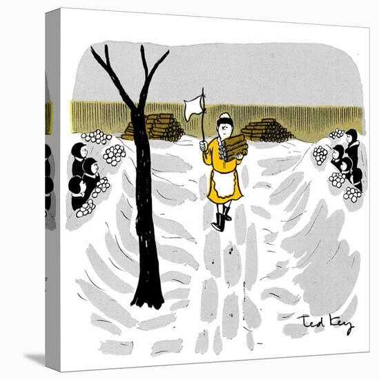 Hazel Cartoon-Ted Key-Stretched Canvas