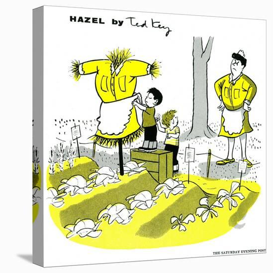 Hazel Cartoon-Ted Key-Stretched Canvas