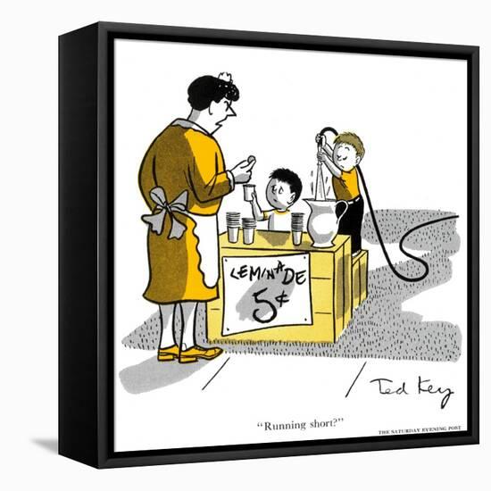 Hazel Cartoon-Ted Key-Framed Stretched Canvas