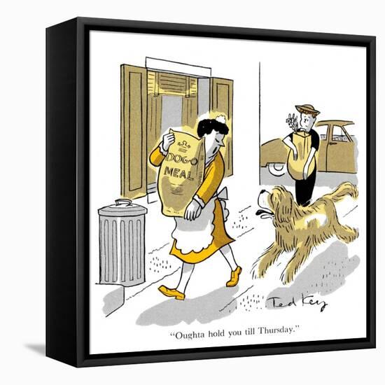 Hazel Cartoon-Ted Key-Framed Stretched Canvas