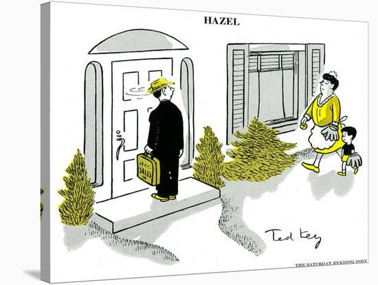 Hazel Cartoon-Ted Key-Stretched Canvas